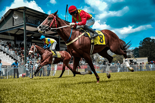 歴史ある競馬の風景