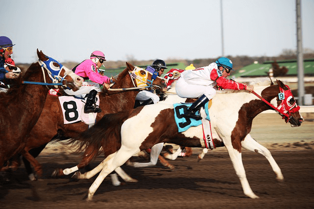 スタートゲートが開き走り出す競走馬